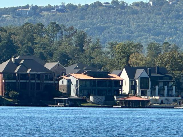 Lake Hamilton, Hot Springs — photo 12