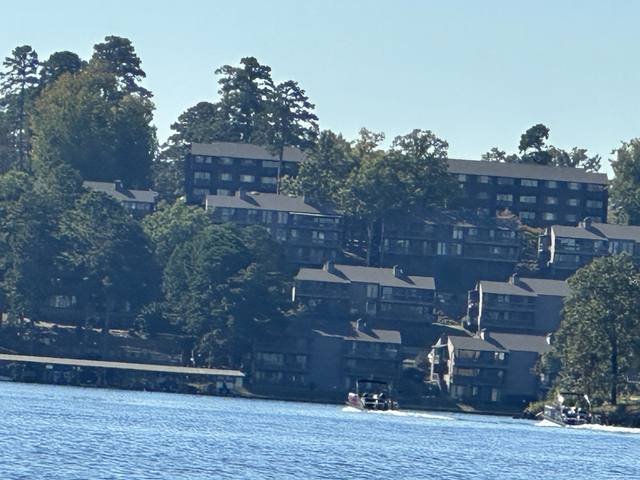 Lake Hamilton, Hot Springs — photo 15
