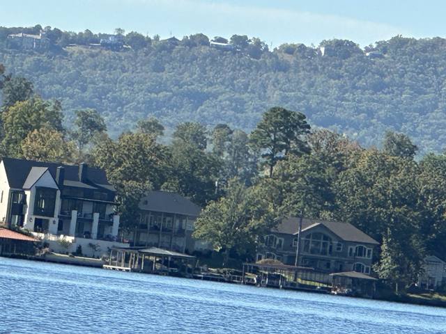 Lake Hamilton, Hot Springs — photo 18