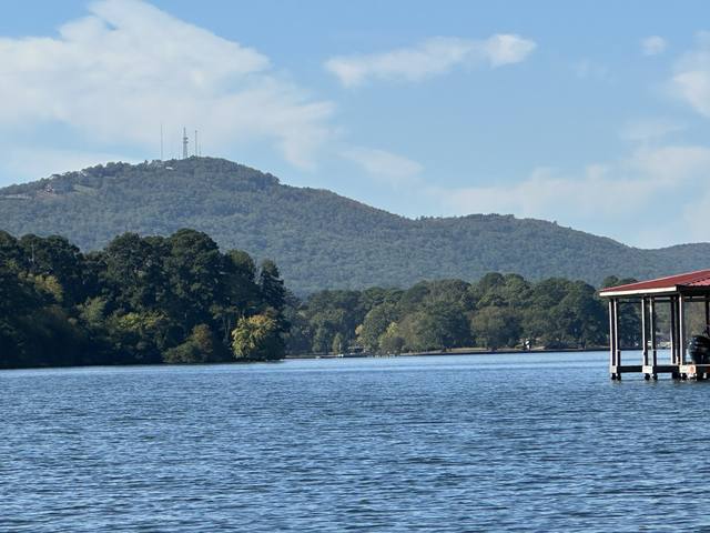 Lake Hamilton, Hot Springs — photo 111