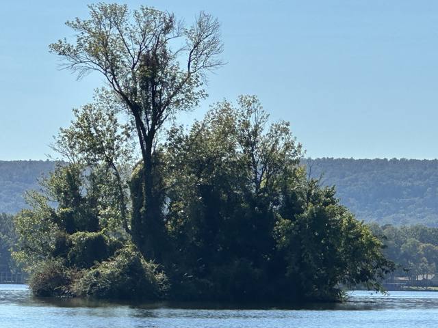Lake Hamilton, Hot Springs — photo 125